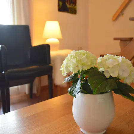  With Roof Terrace, Cleaning Included *